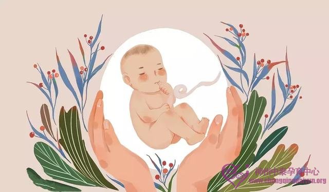 试管婴儿成功率居全世界第一的美国，到底有什么神奇之处？