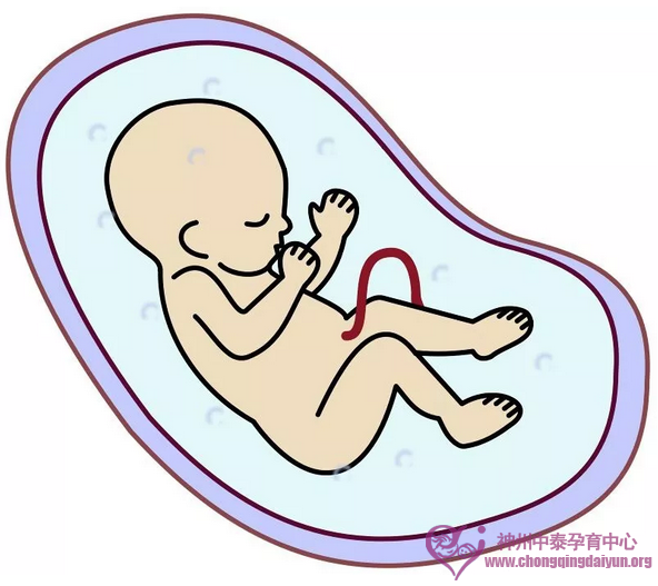 美国试管婴儿胚胎着床，宝宝与母亲之间的第一次对话