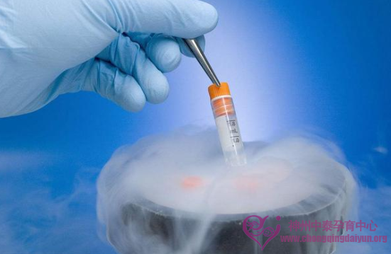 初恩宝贝揭秘美国试管婴儿胚胎的“冷冻”及“保存”全过程！